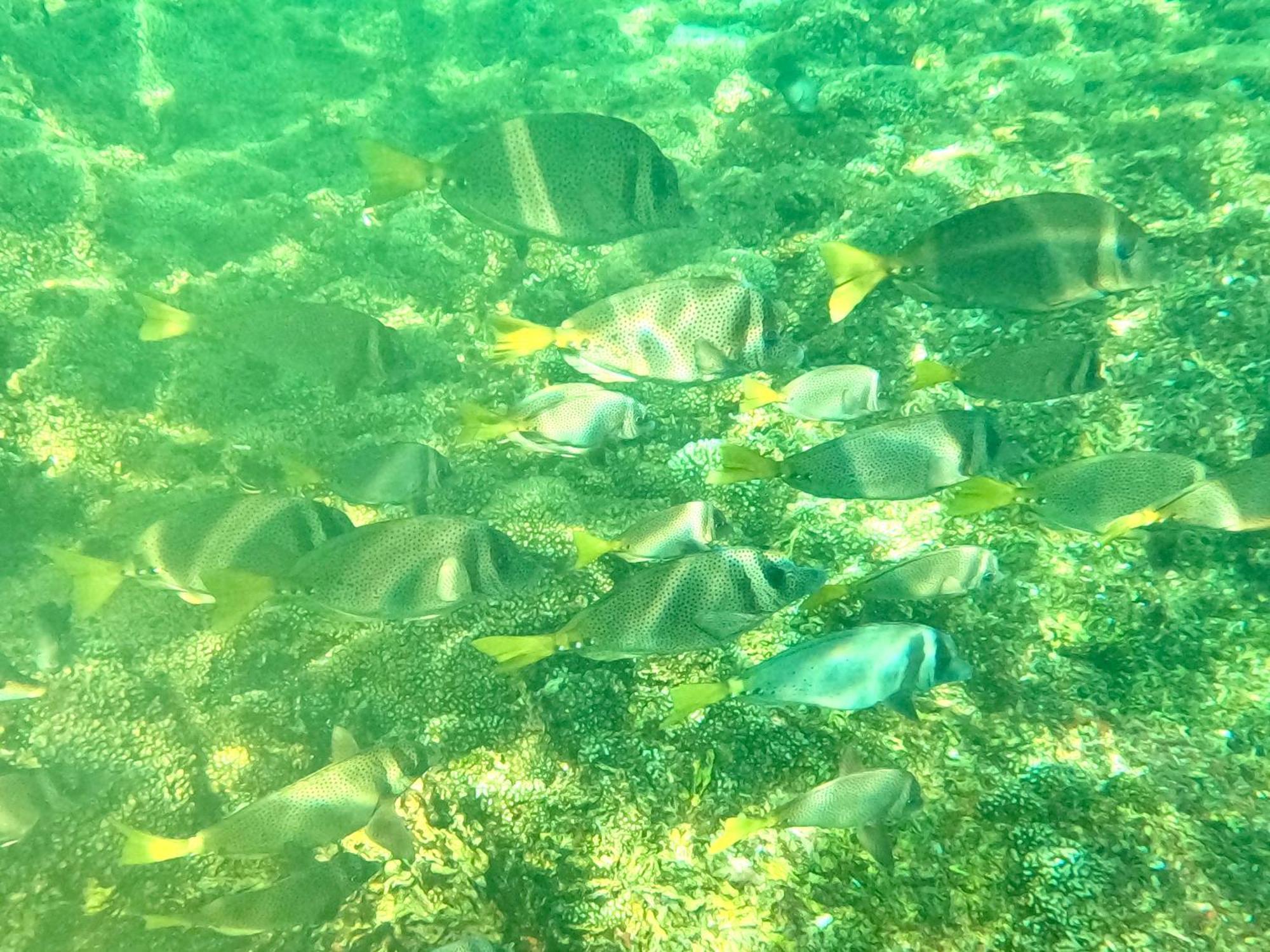 Agua Azul La Villa 圣克鲁斯华特库 外观 照片